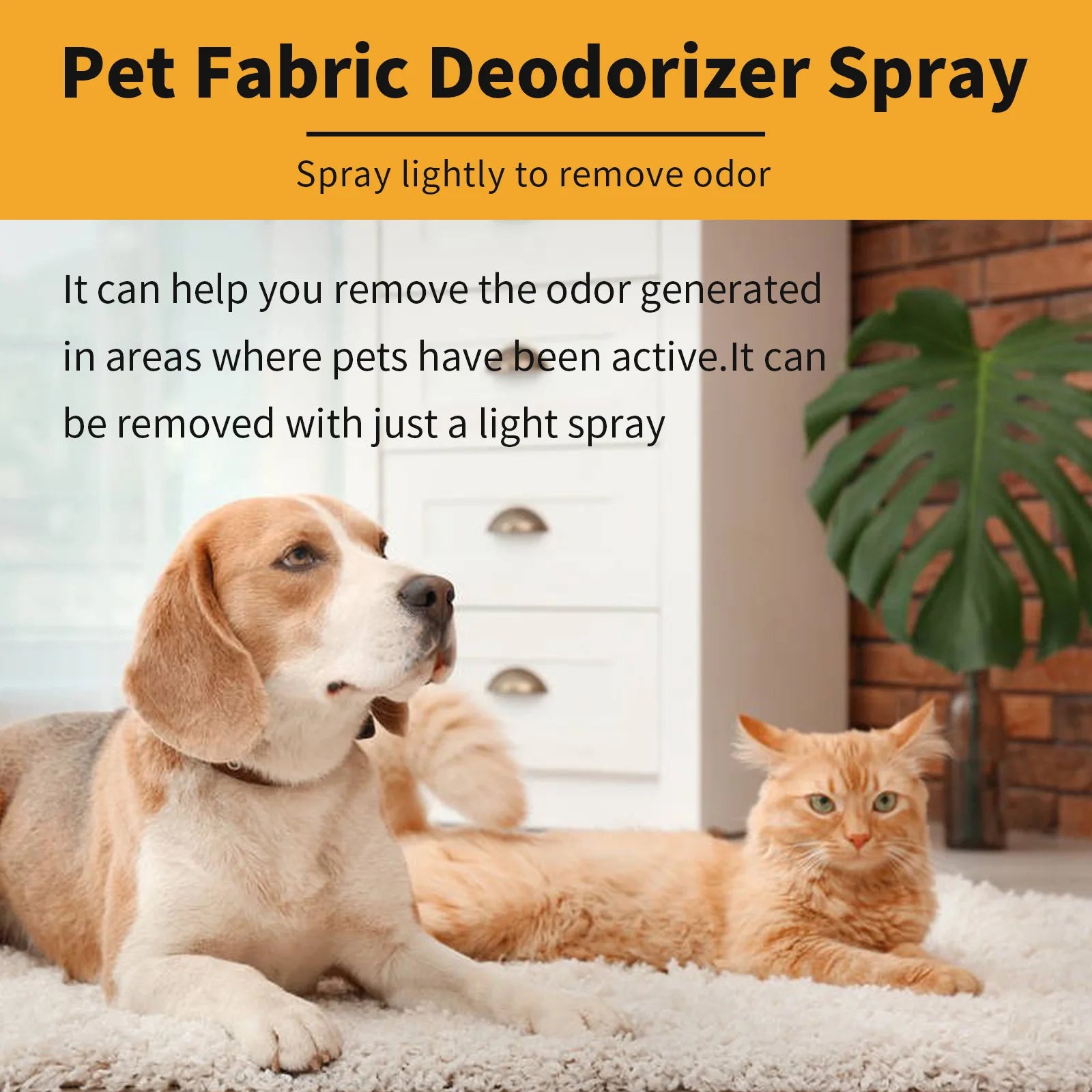 Natural Pet Deodorant Spray - Eliminate Odors & Freshen Up Your Dog!