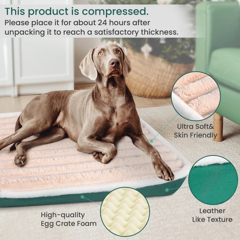 Cozy Zippered Dog Bed Mat & Removable Cat Nest - Washable Cushion for Small to Medium Pets