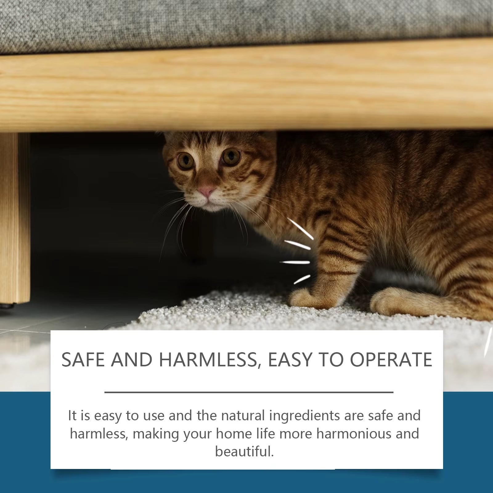 Cat Repellent Spray anti Scratch Prevent Biting Scratching Stop Sofa Chew Gnaw Corrector Furniture Protect Pet Training Liquid