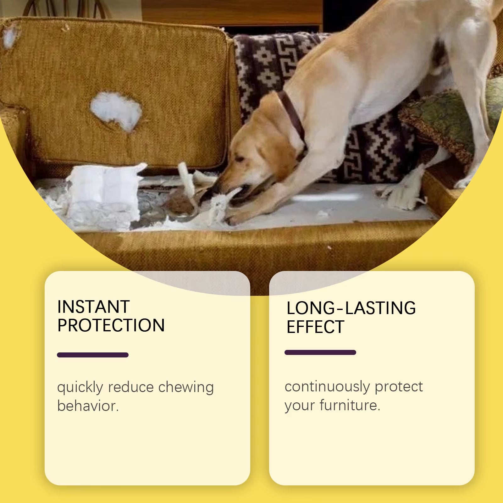 Pet Anti-Chewing Spray, Indoor Anti-Biting and Anti-Scratching Sofa Bitter Spray for Pet Dogs