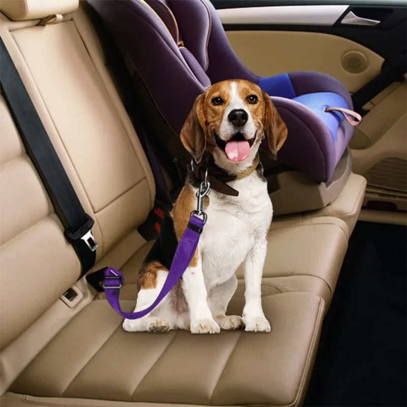 Car Leash Pet Dog Safety Leash Car Pet Leash Car Pet Seat Belt Adjustable Puppy Accessories