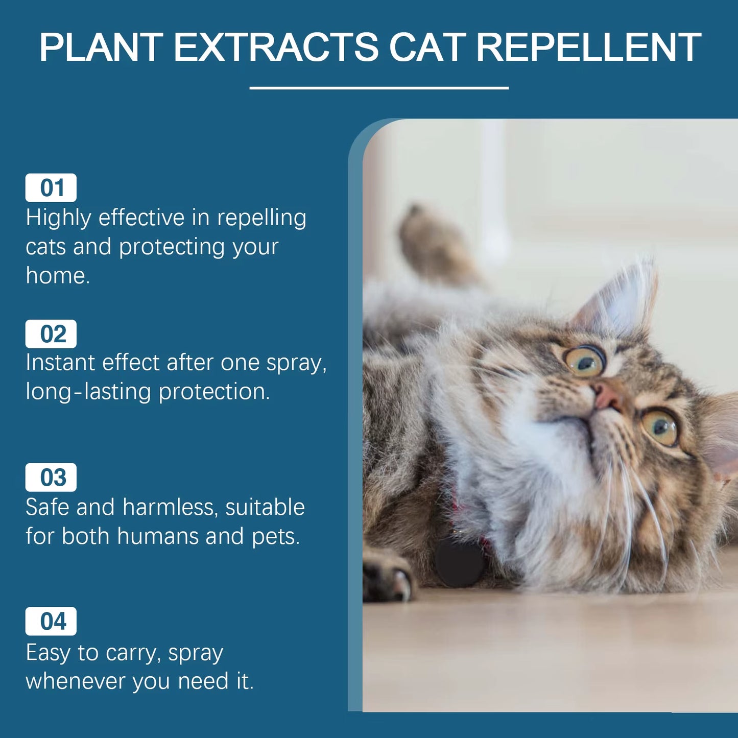 Cat Repellent Spray anti Scratch Prevent Biting Scratching Stop Sofa Chew Gnaw Corrector Furniture Protect Pet Training Liquid