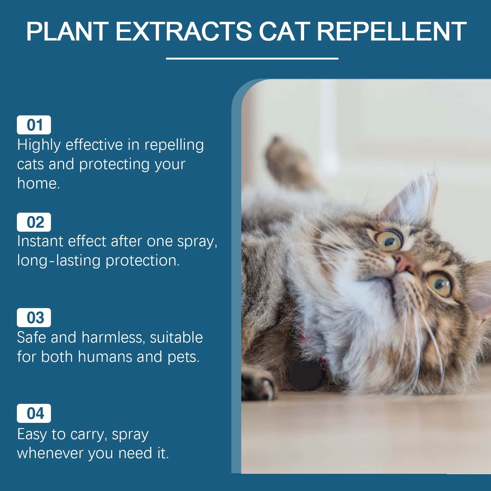 Cat Repellent Spray anti Scratch Prevent Biting Scratching Stop Sofa Chew Gnaw Corrector Furniture Protect Pet Training Liquid