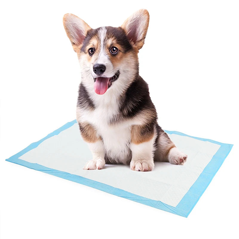 Dog Soakers Diapers for Dogs Disposable Dog Super Absorbent Training Pee Pads Nappy Mat for Cats Dog Diapers Cage Mat 1PCS